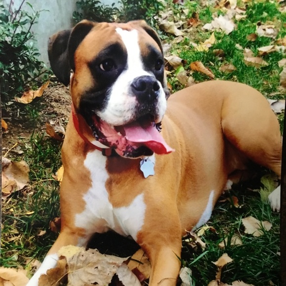 Meet your Posher, Allison - Picture 2 of 2